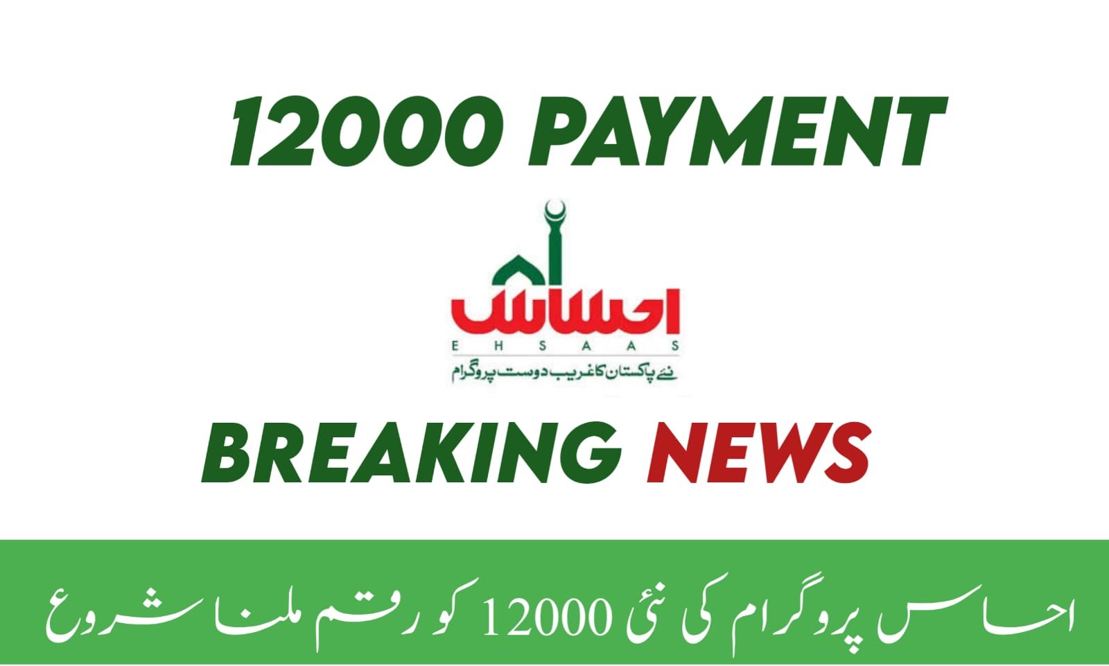 Maryam Nawaz Will Provide 12000 to All Families in Pakistan